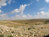 Негев, image of landscape/habitat.