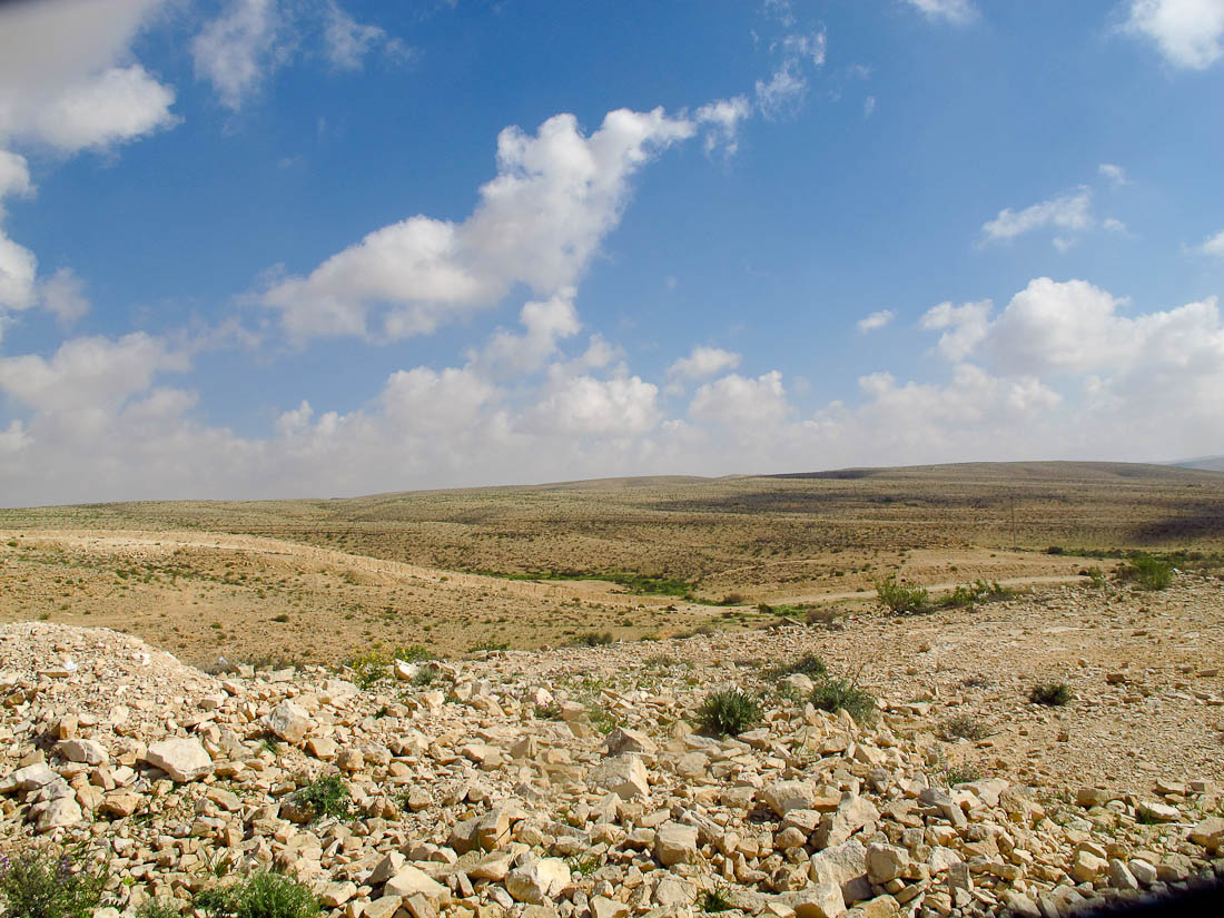 Негев, image of landscape/habitat.
