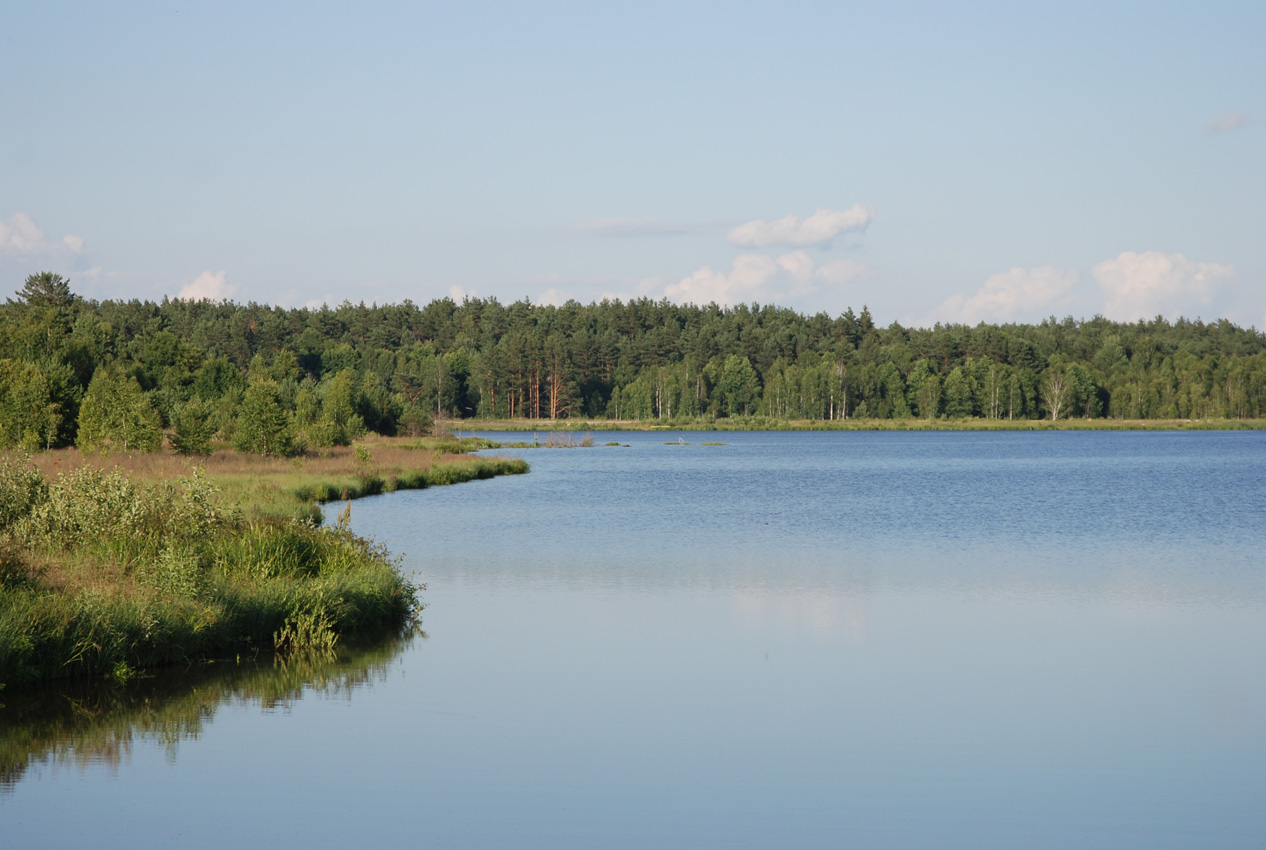 Орловское Полесье, image of landscape/habitat.