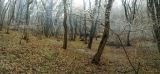 Урочище Кубалач, изображение ландшафта.