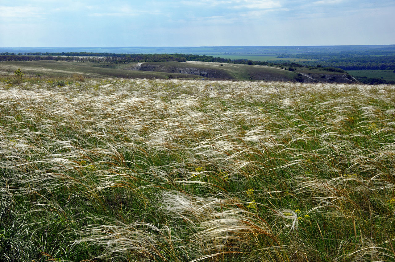 Дивногорье, image of landscape/habitat.