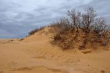 Окрестности Комсомольского, image of landscape/habitat.