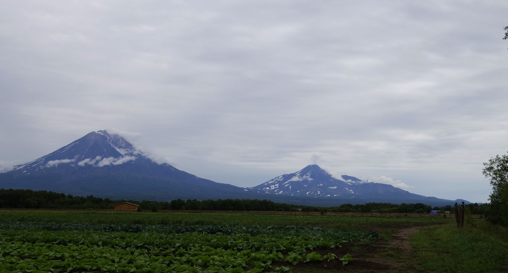 Мечта, image of landscape/habitat.