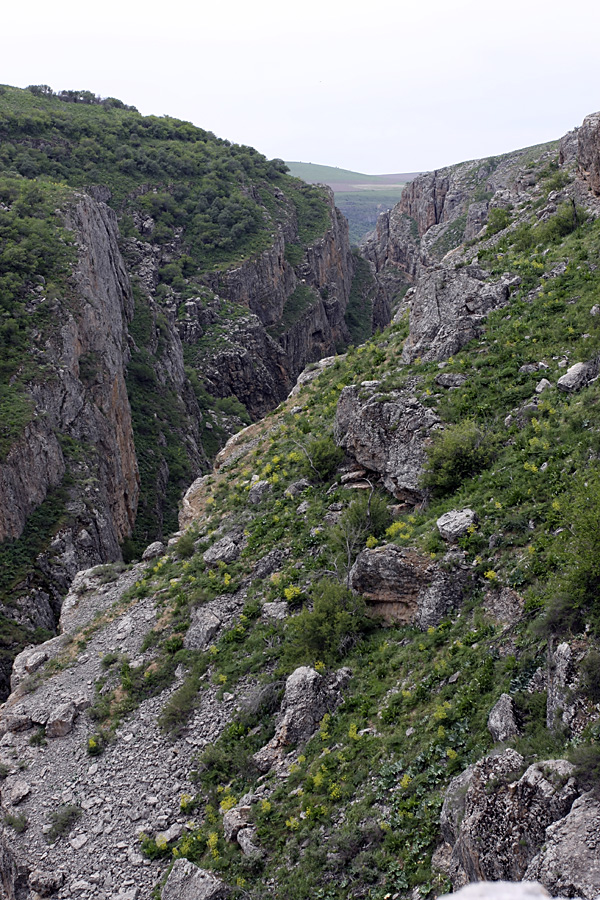 Каньон Даубаба, image of landscape/habitat.