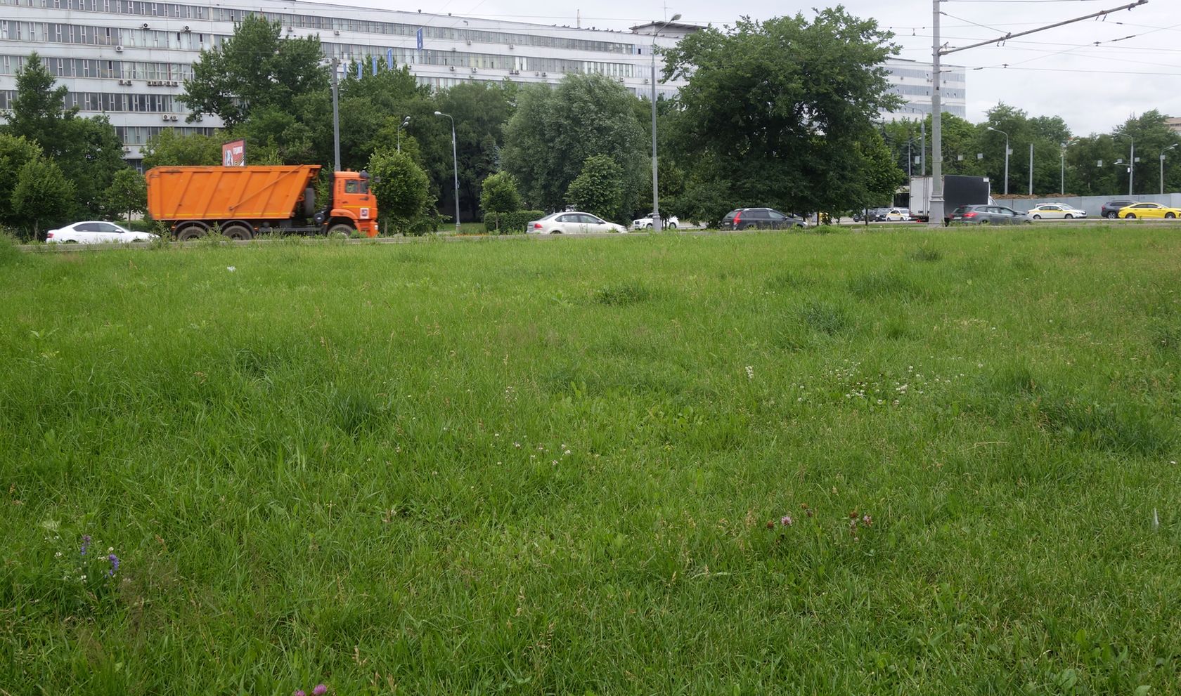 Москва, image of landscape/habitat.