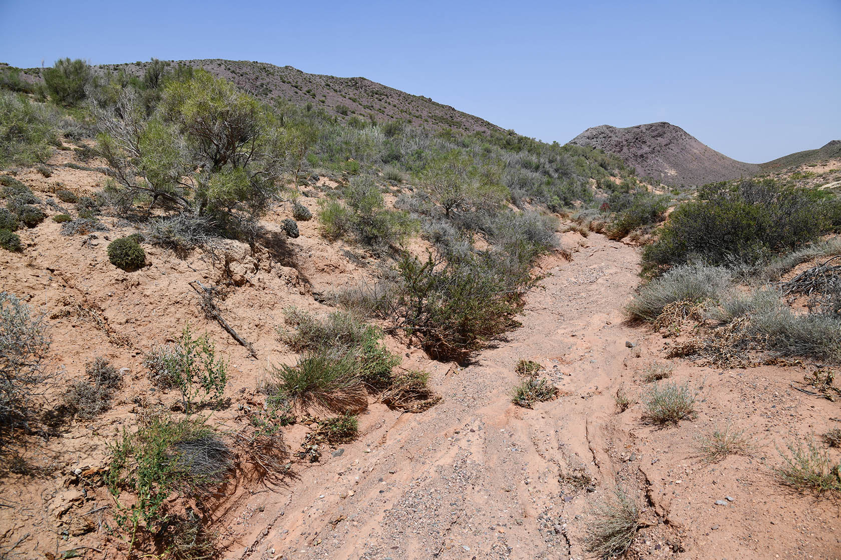 Бала-Богуты, image of landscape/habitat.