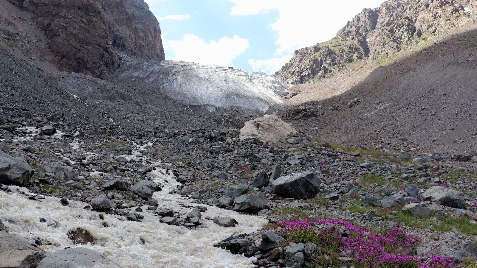 Текешсай, image of landscape/habitat.