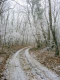 Урочище Кубалач, изображение ландшафта.