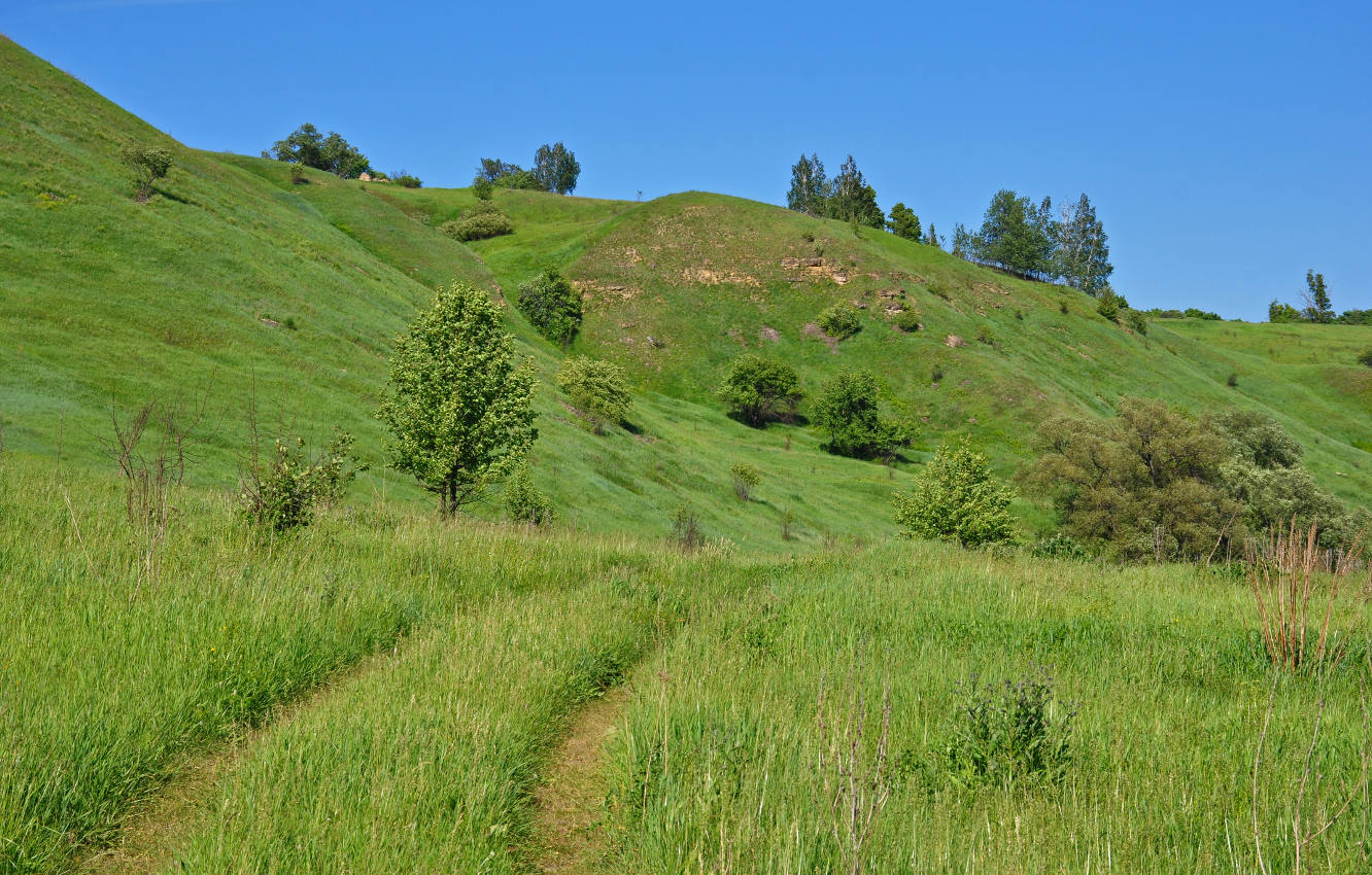Долина реки Красивая Меча, image of landscape/habitat.