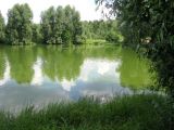 Image of landscape