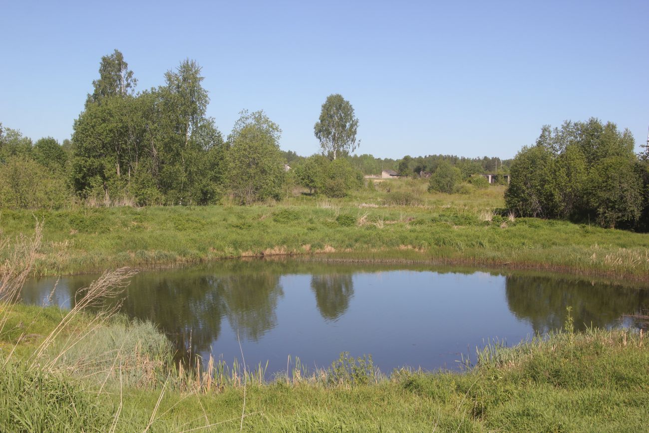 Окрестности деревни Петровское, image of landscape/habitat.