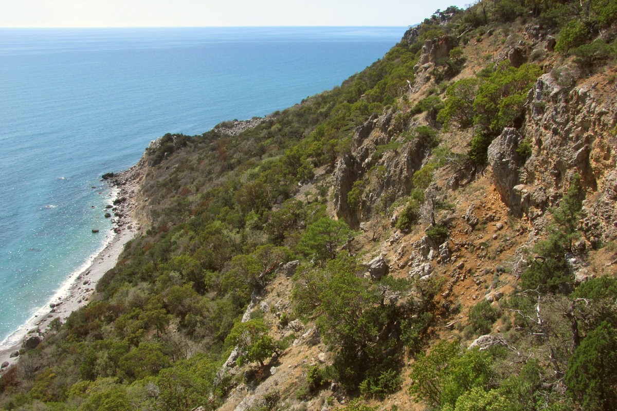 Мыс Мартьян, image of landscape/habitat.