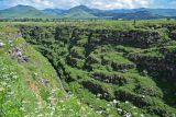 Лори Берд, image of landscape/habitat.