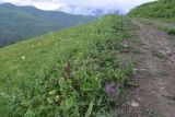 Хакмадой, изображение ландшафта.
