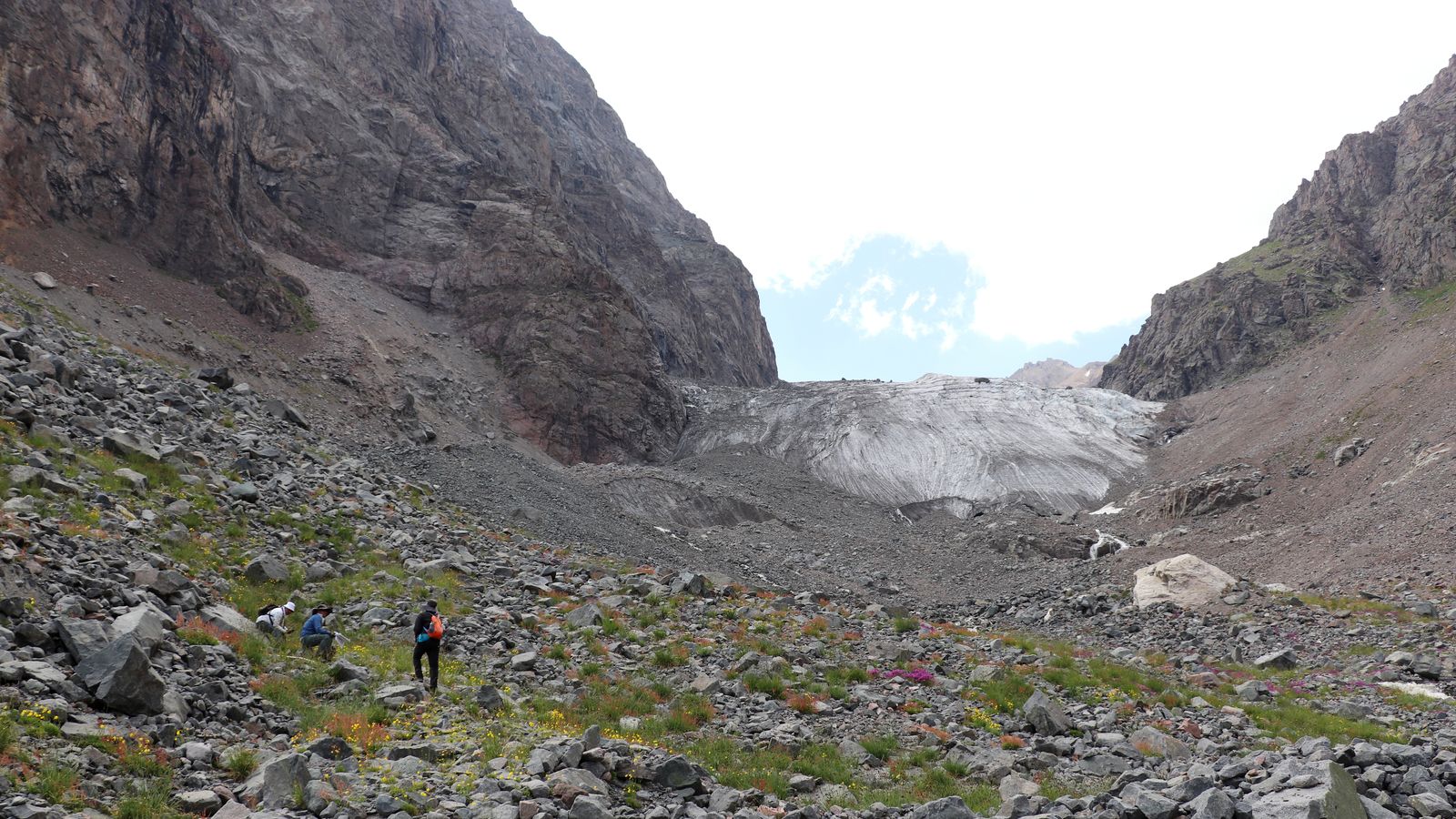 Текешсай, image of landscape/habitat.