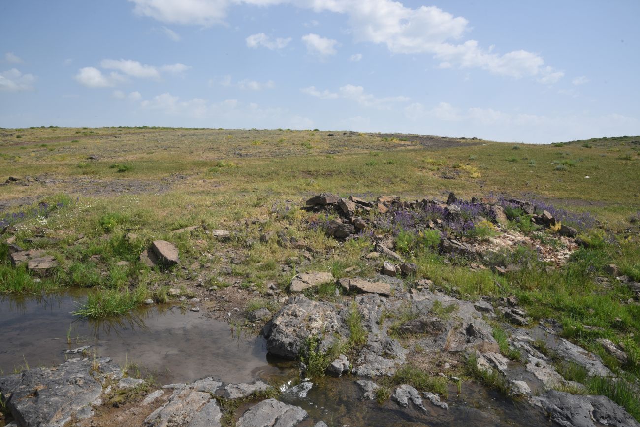 Овраг Хачидзор, image of landscape/habitat.