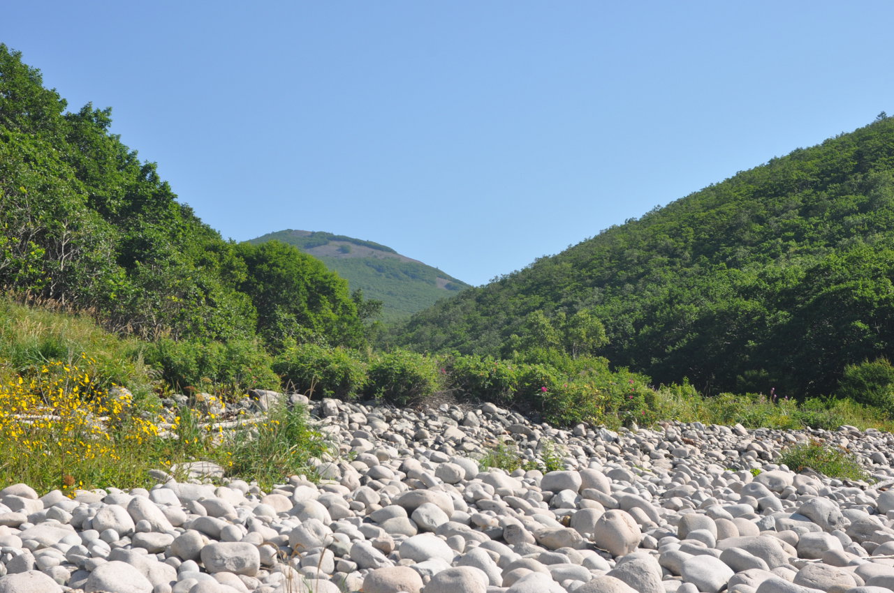 Гора Абрек, image of landscape/habitat.