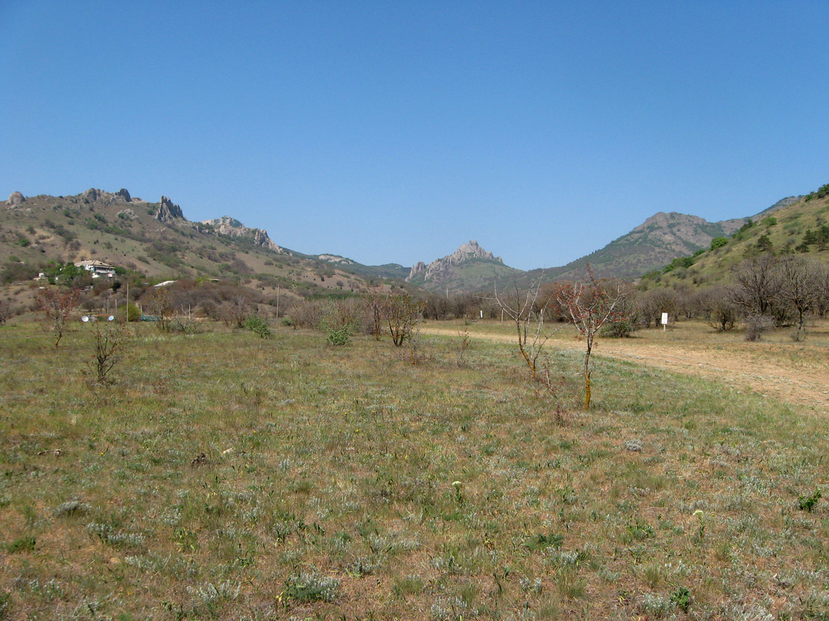 Карадаг, image of landscape/habitat.