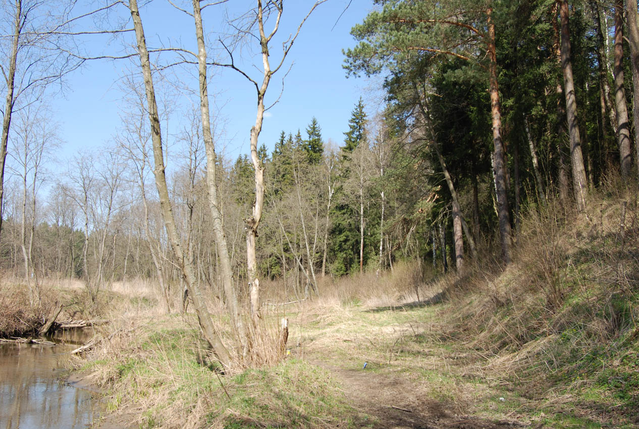 Павловская Слобода, image of landscape/habitat.