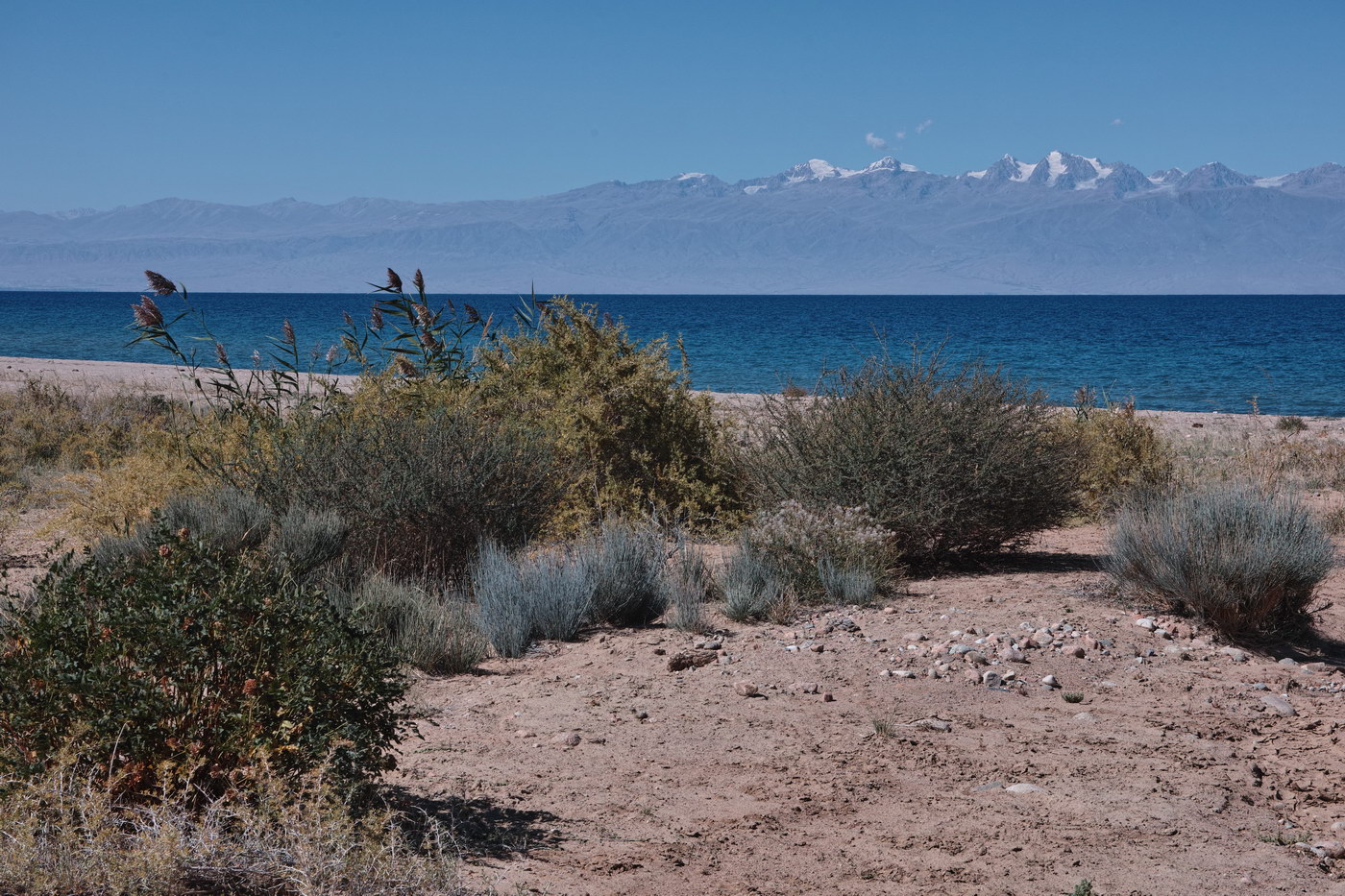 Иссык-Куль, image of landscape/habitat.