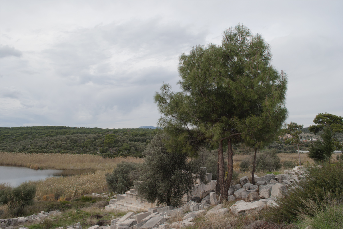 Патара, image of landscape/habitat.