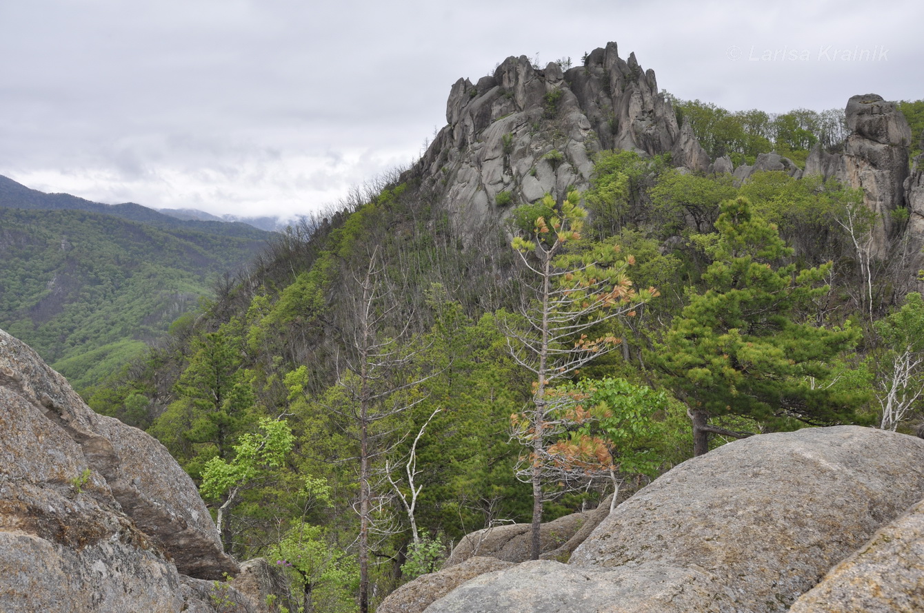 Окрестности села Чистоводное, image of landscape/habitat.