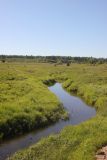 Окрестности деревни Петровское, image of landscape/habitat.