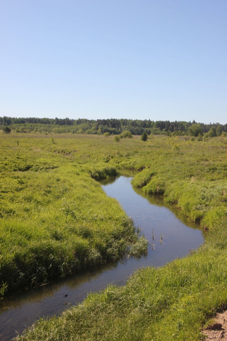 Окрестности деревни Петровское, image of landscape/habitat.