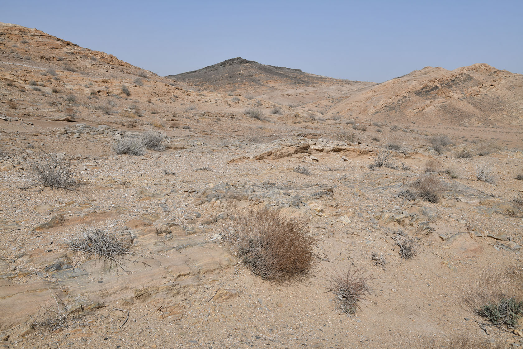 Султан-Увайс, image of landscape/habitat.