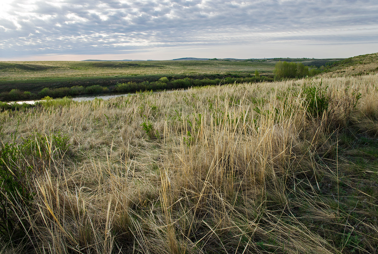 Богдановское, image of landscape/habitat.