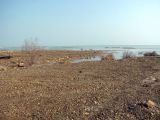 Мёртвое море, image of landscape/habitat.