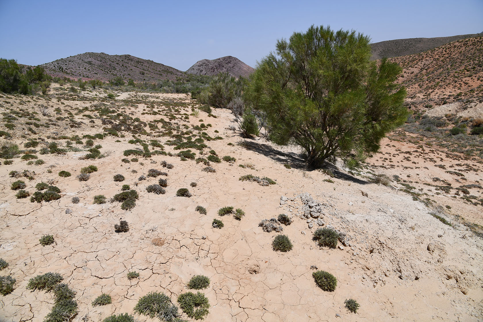 Бала-Богуты, image of landscape/habitat.