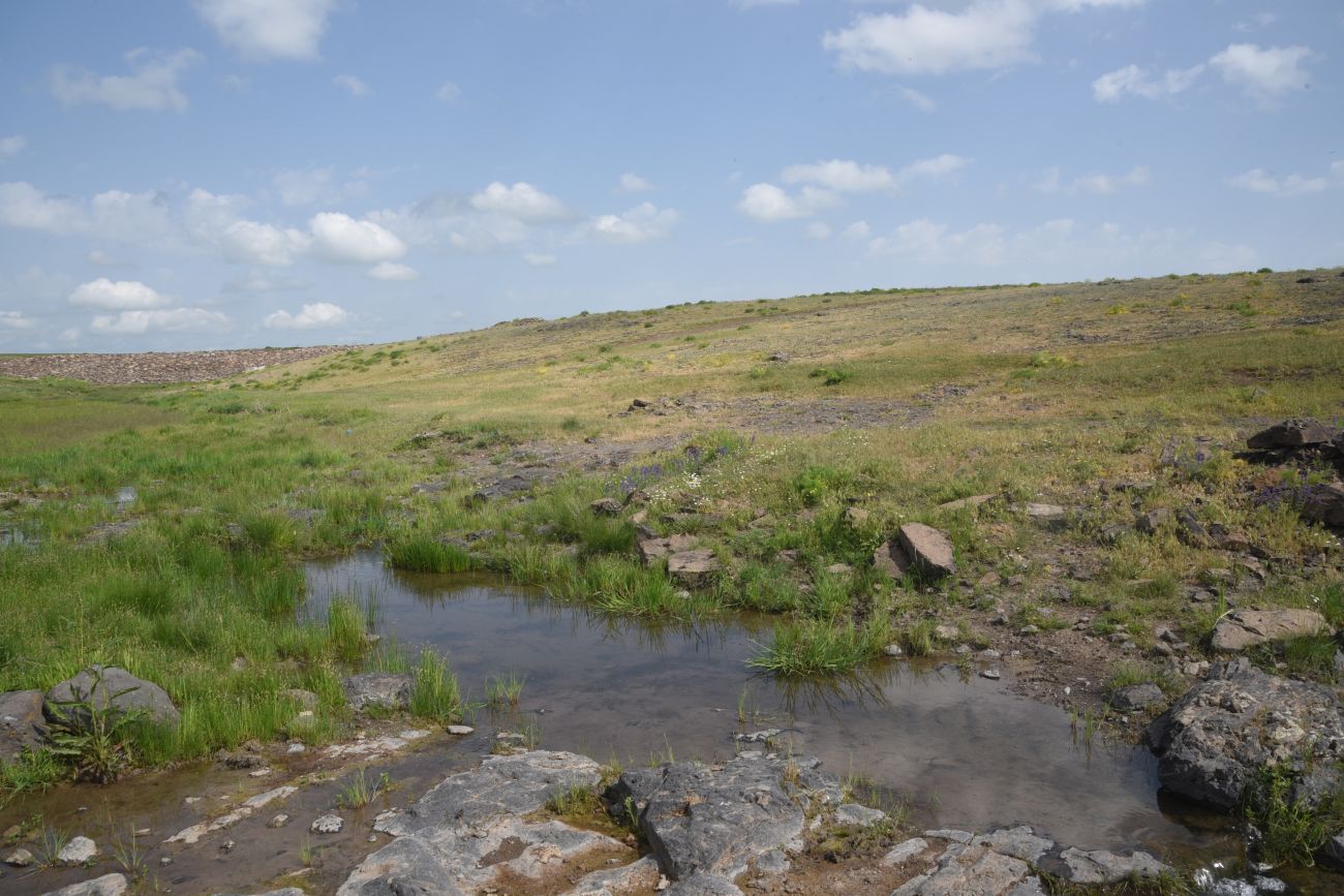Овраг Хачидзор, image of landscape/habitat.