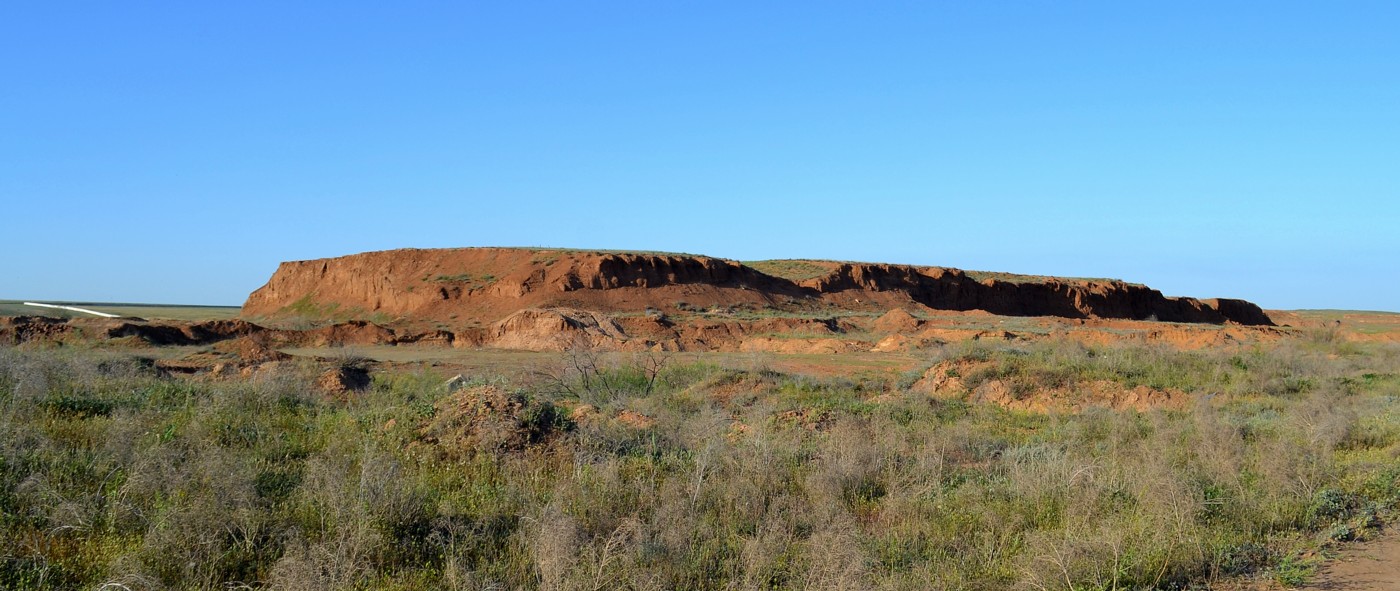 Дельта (средняя зона), image of landscape/habitat.