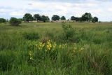 Image of landscape