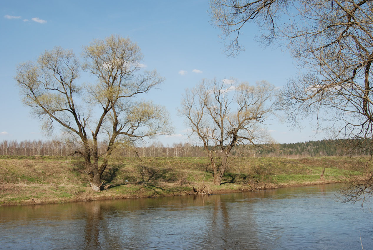 Павловская Слобода, image of landscape/habitat.