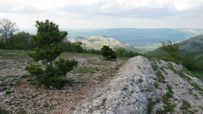 Нижнее плато Чатыр-Дага, image of landscape/habitat.