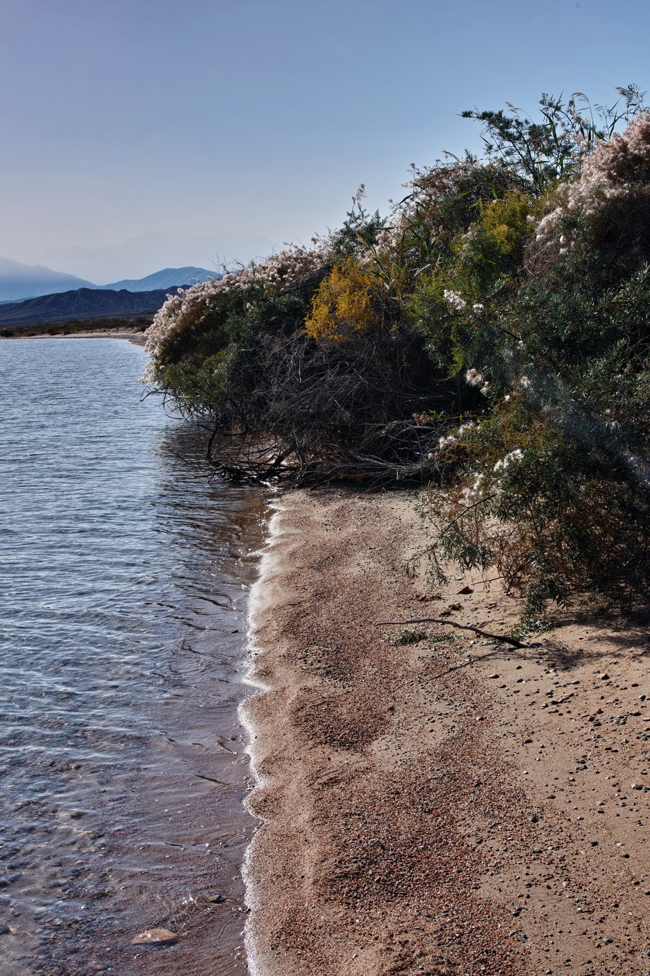 Иссык-Куль, image of landscape/habitat.
