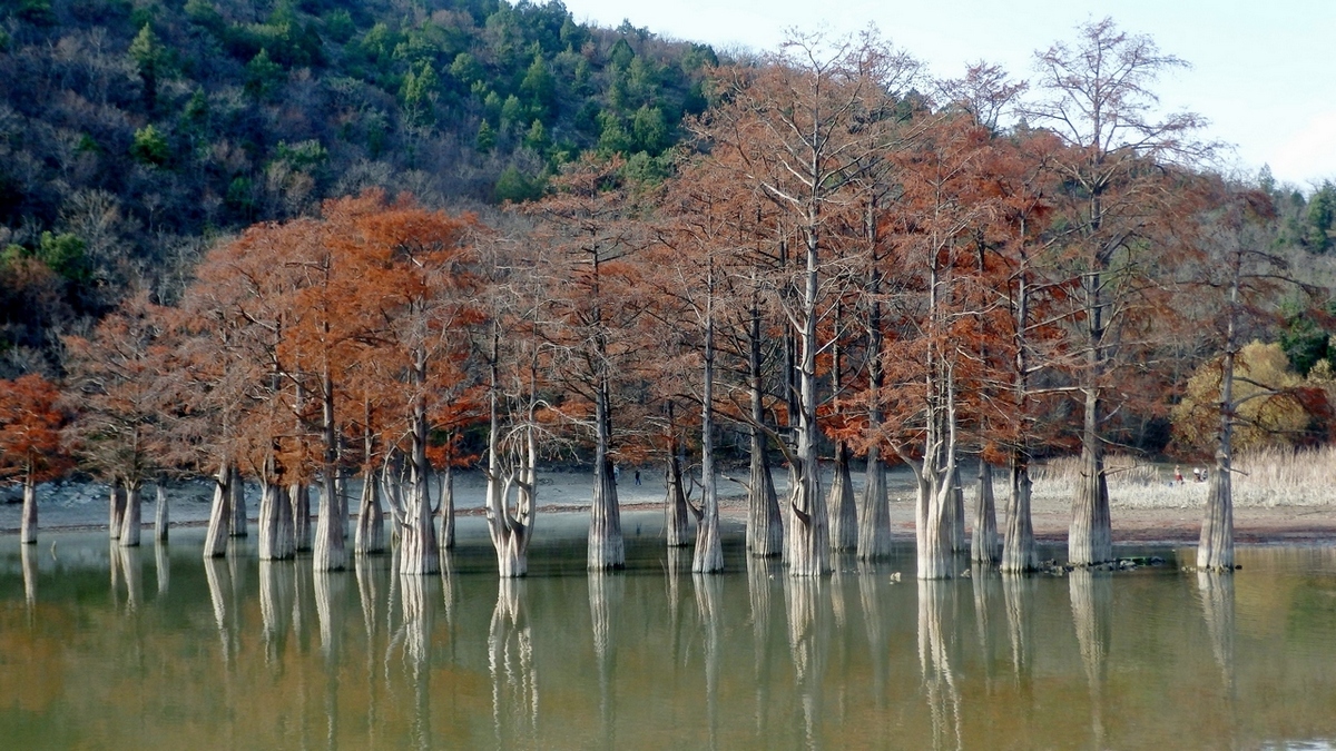 Окрестности озера Сукко, изображение ландшафта.