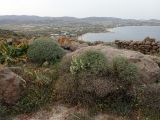 Остров Парос, image of landscape/habitat.