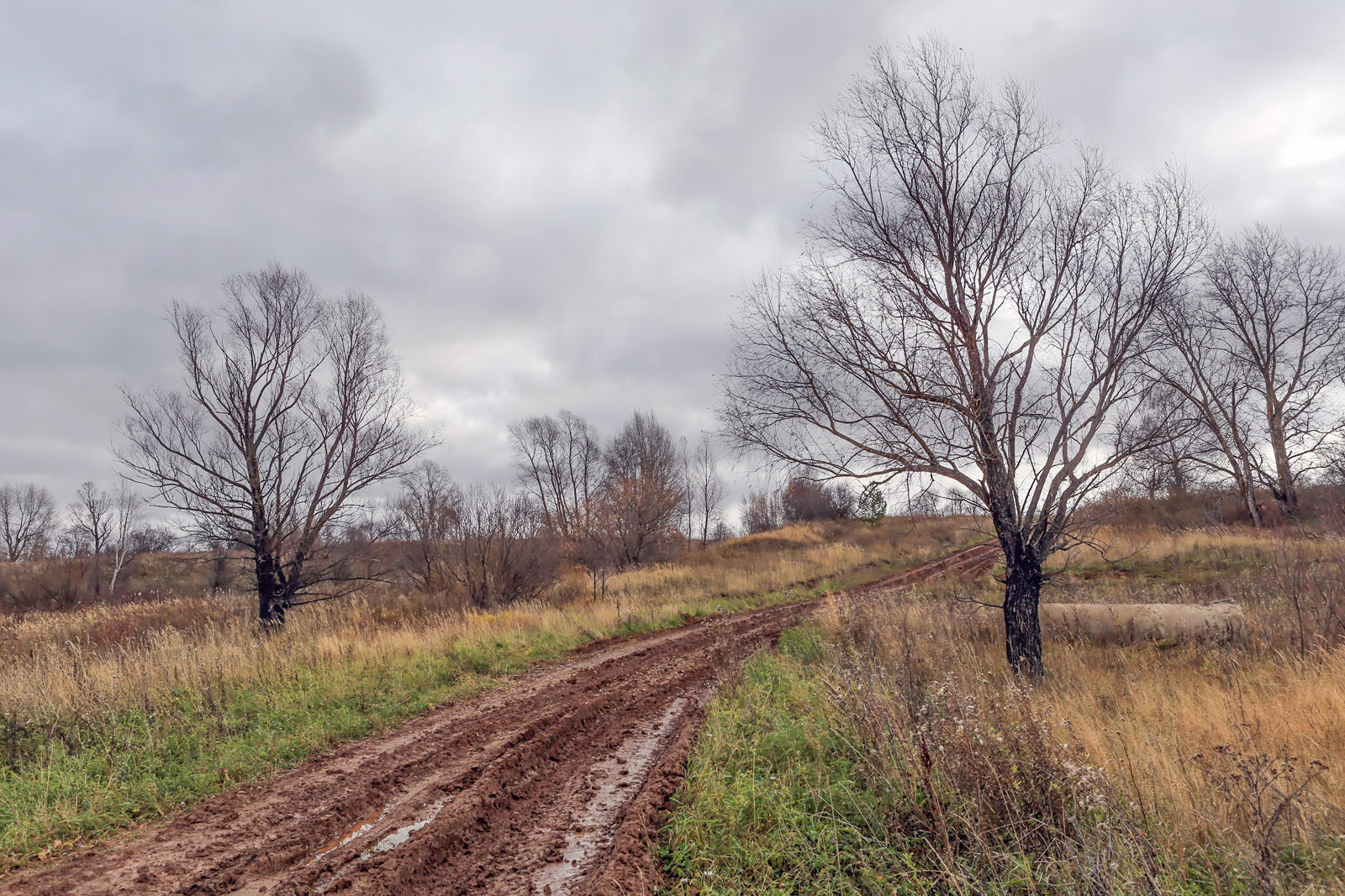 Окрестности села Красный Бор, image of landscape/habitat.