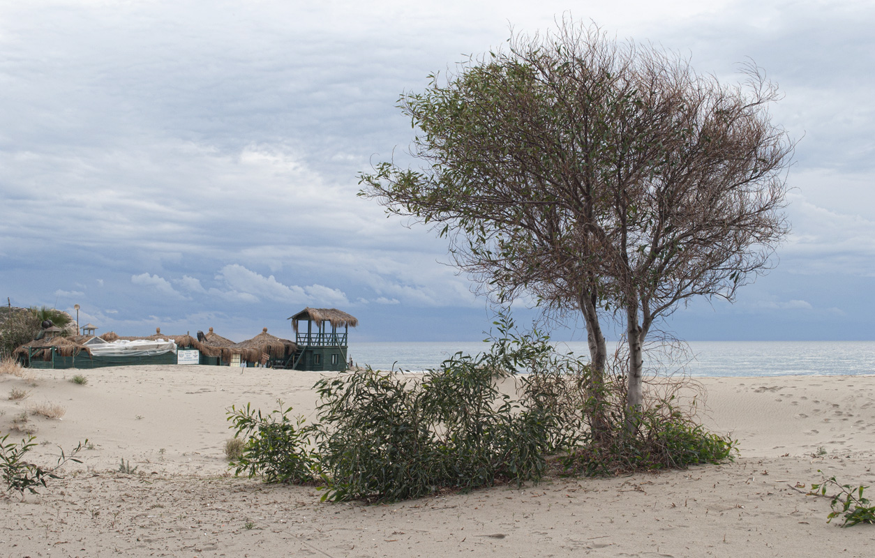 Патара, image of landscape/habitat.