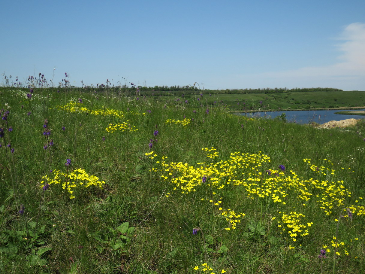 Урочище Терновый Яр, image of landscape/habitat.