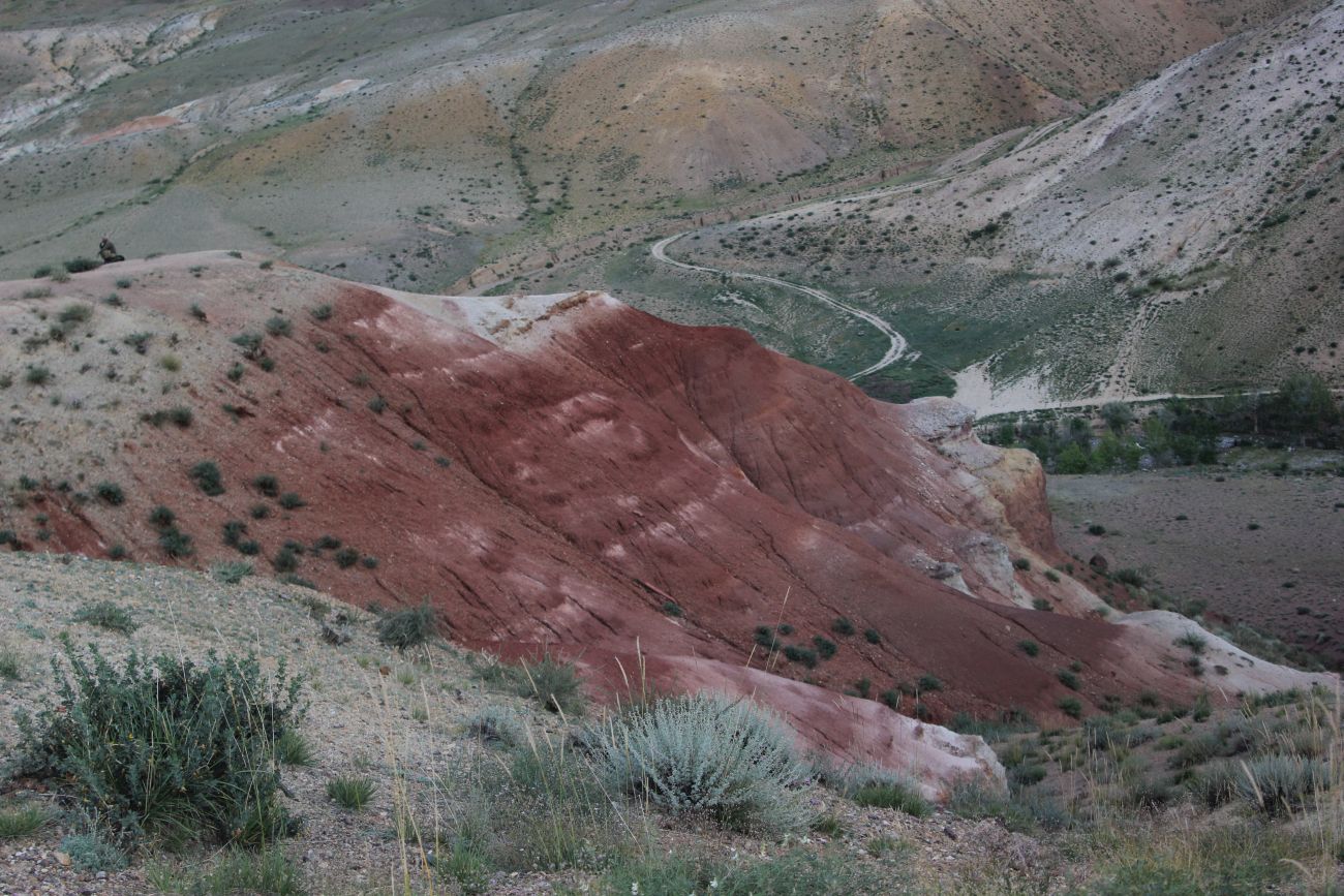 Урочище Марс, image of landscape/habitat.