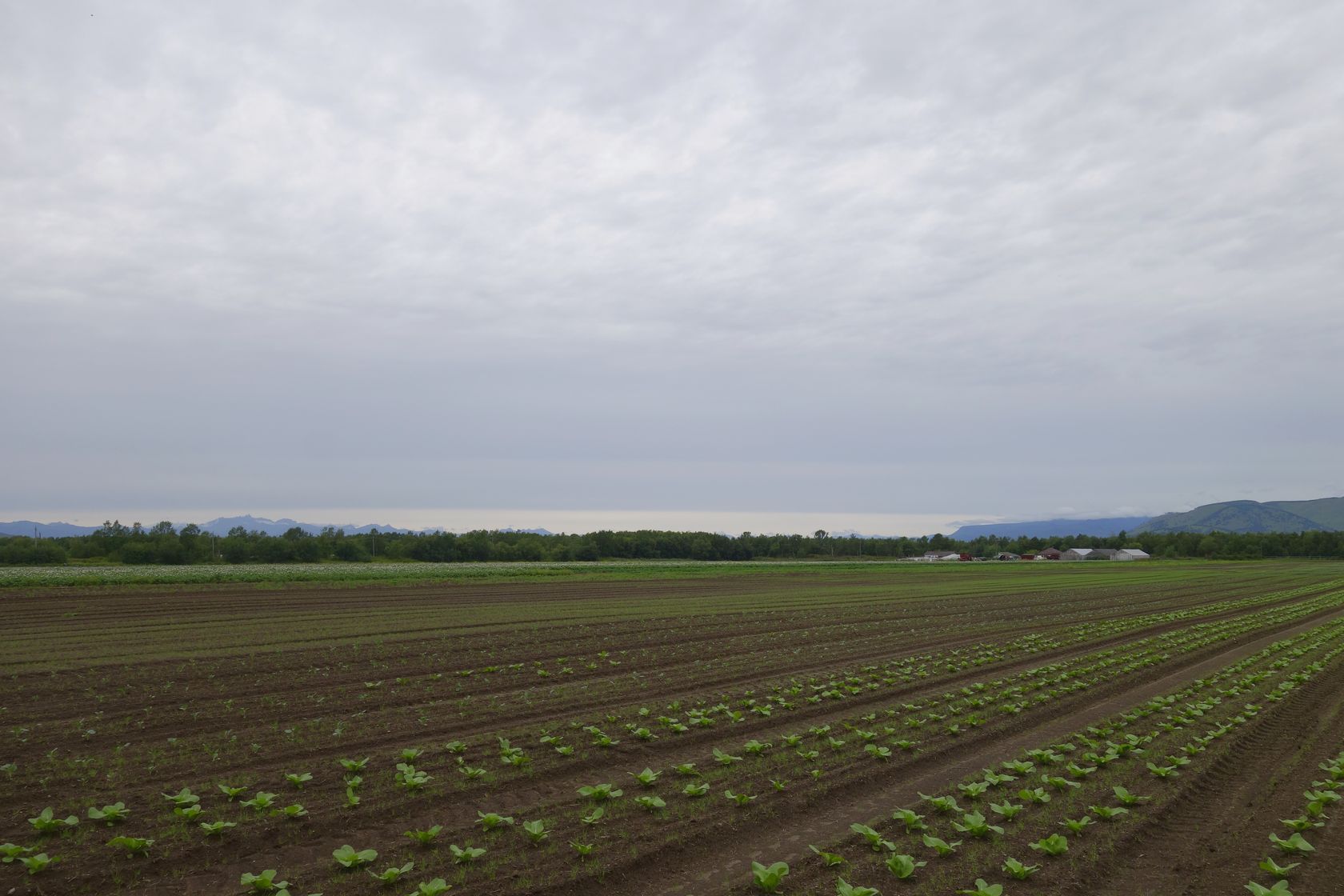 Мечта, image of landscape/habitat.