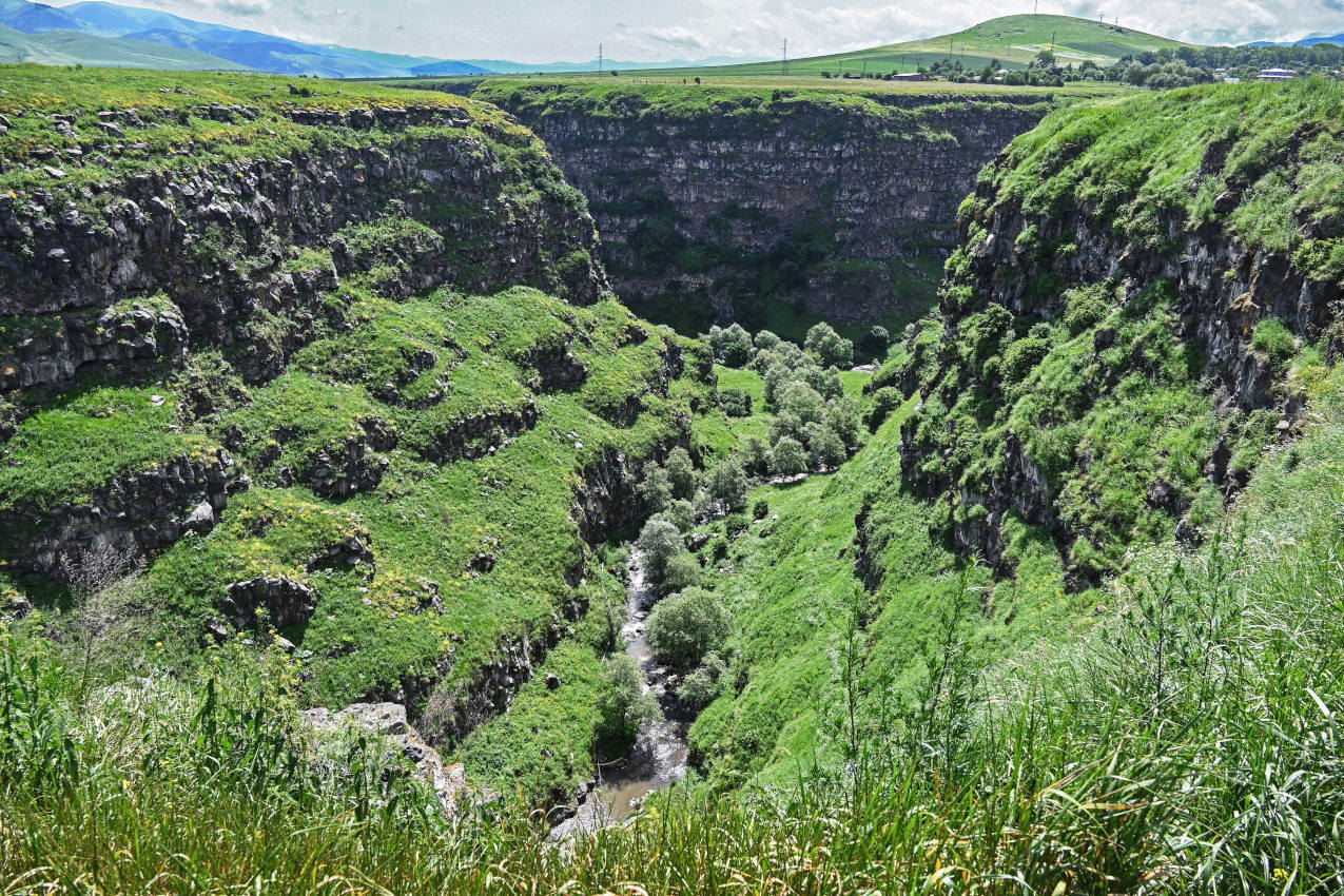 Лори Берд, image of landscape/habitat.