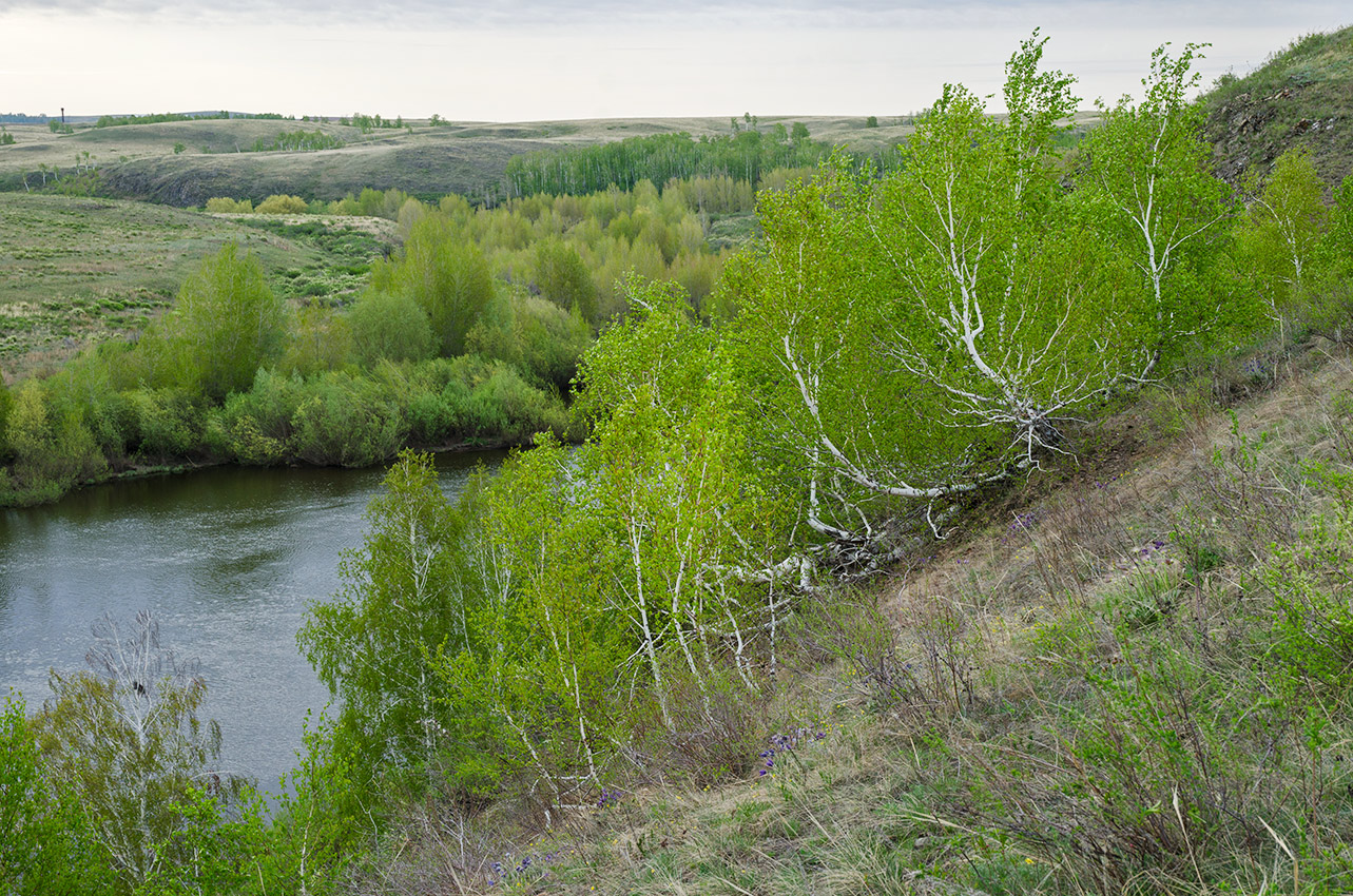 Богдановское, image of landscape/habitat.