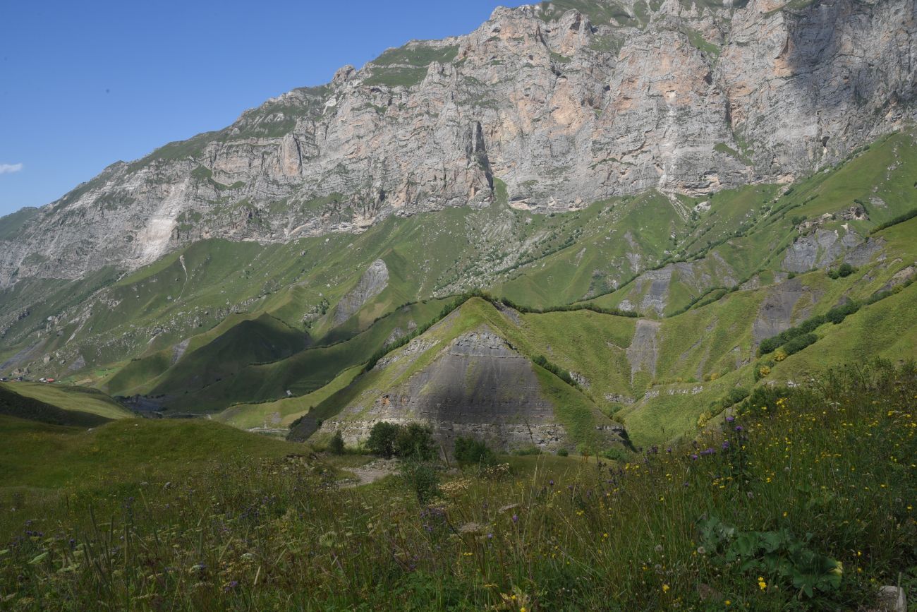 Урочище Хилиди, image of landscape/habitat.