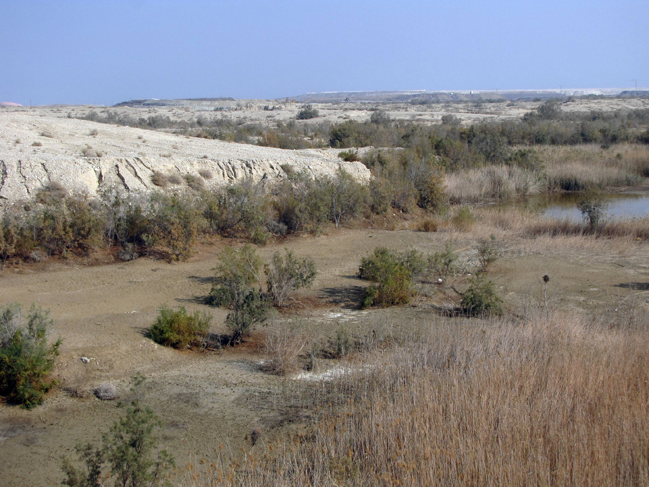 Мёртвое море, image of landscape/habitat.