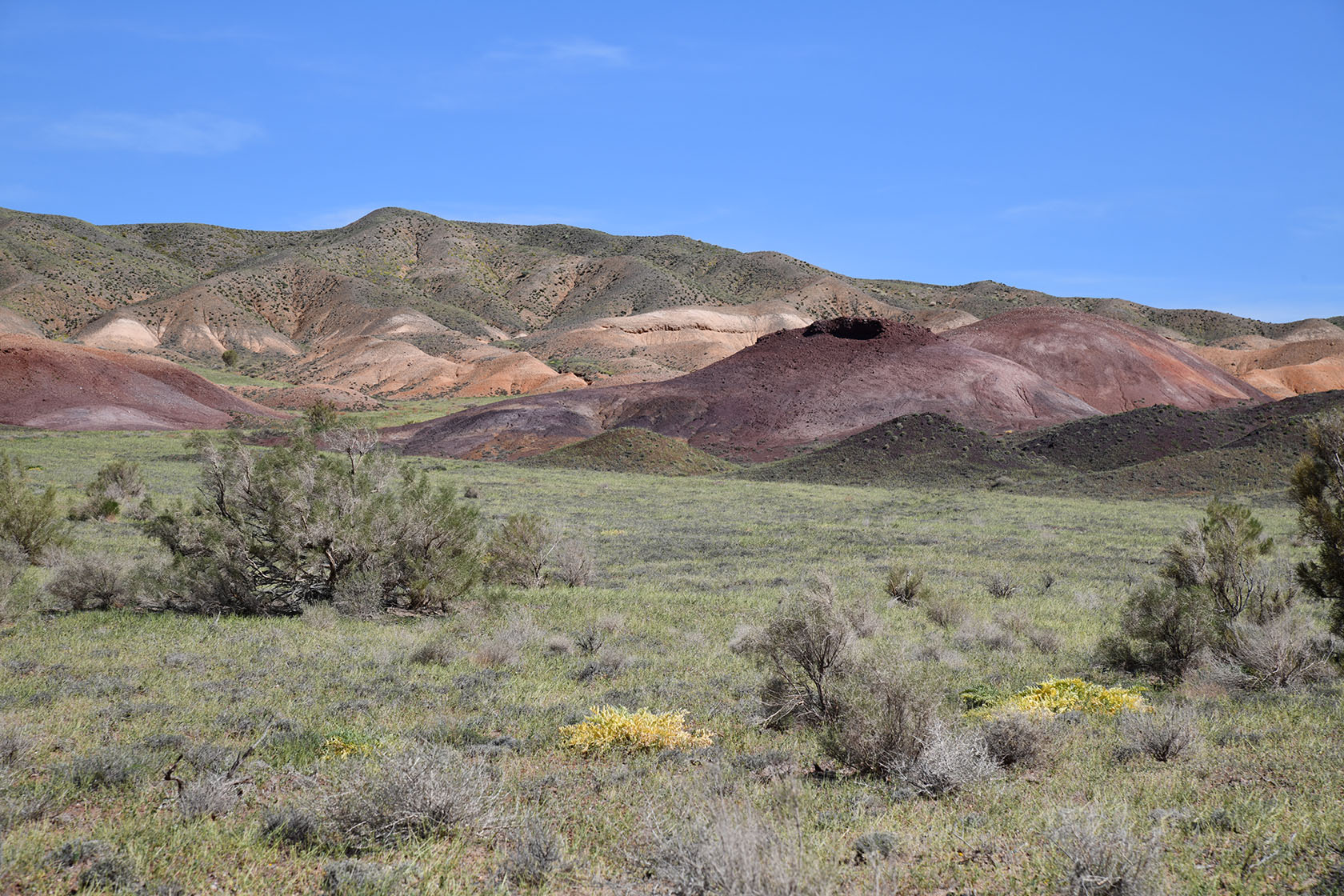 Горы Улькен-Богуты, image of landscape/habitat.